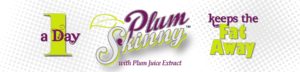 plum skinny banner