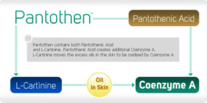 pantothenn