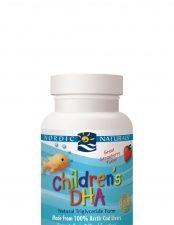 nordic naturals childrens dha 90