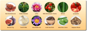 ayur ingredients