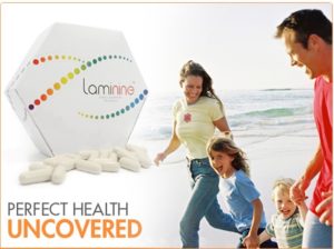 banner laminine