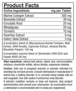 dgp product facts