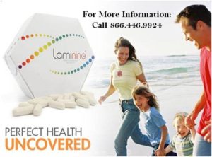 laminine banner new