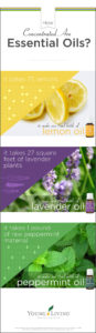 lavenderfacts