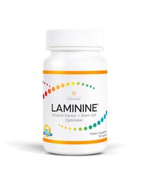 laminine 1