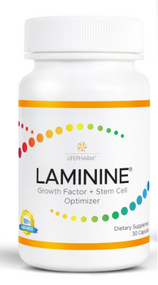 laminine