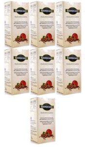 gano hazelnut buy 6