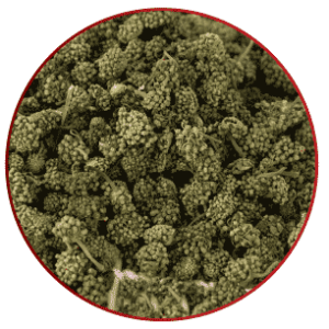 redjuice ingredient sibgensing