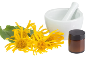 acf.arnica flower