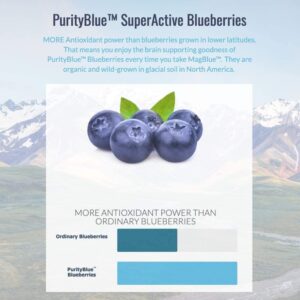 blueberries