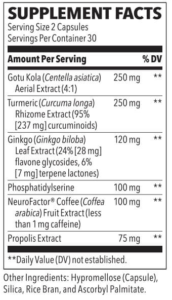 neuroq ingredients
