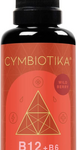 Liposomal Vitamin B12 + B6