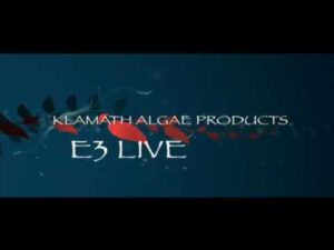 Video Thumbnail: E3Live Origins Story