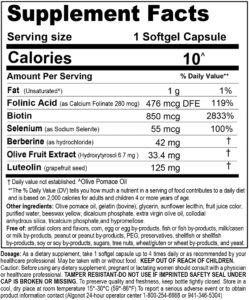 braingain supp facts