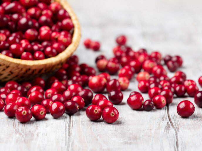 cranberries